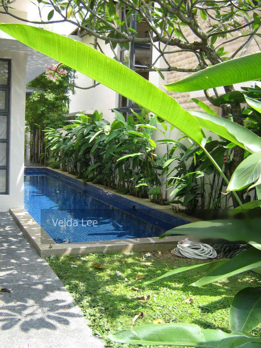 Braddell Heights Estate (D13), Detached #143470012